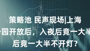 策略池 民声现场|上海一滨水公园开放后，入夜后竟一大半不开灯？
