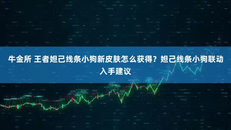 牛金所 王者妲己线条小狗新皮肤怎么获得？妲己线条小狗联动入手建议